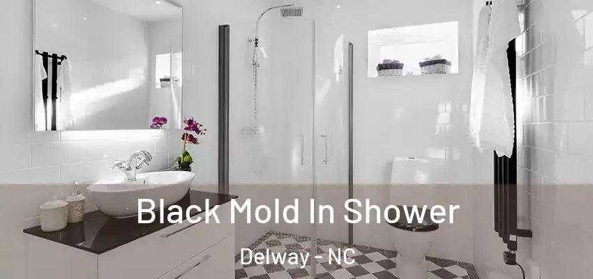  Black Mold In Shower Delway - NC