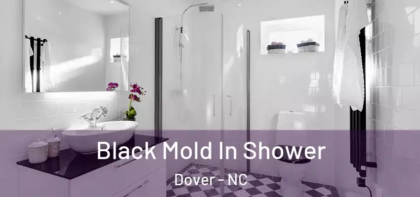  Black Mold In Shower Dover - NC