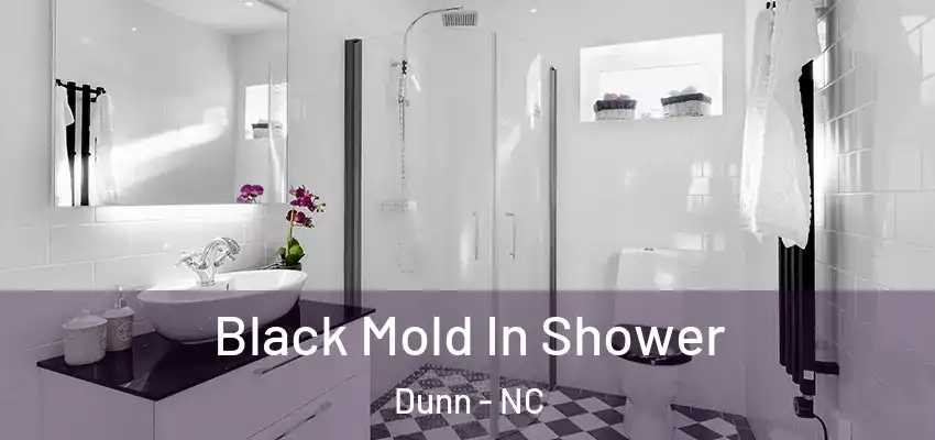  Black Mold In Shower Dunn - NC