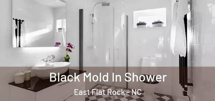 Black Mold In Shower East Flat Rock - NC