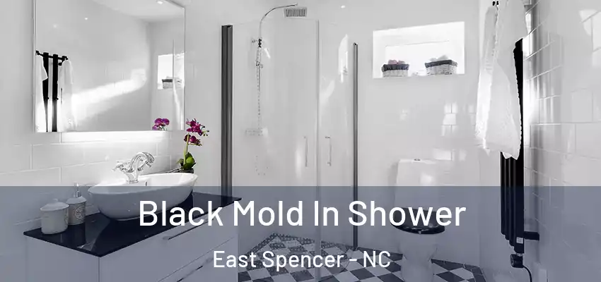  Black Mold In Shower East Spencer - NC