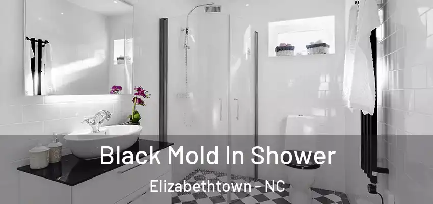 Black Mold In Shower Elizabethtown - NC
