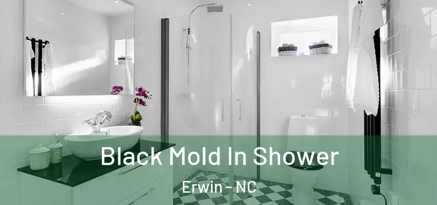 Black Mold In Shower Erwin - NC