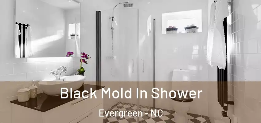  Black Mold In Shower Evergreen - NC