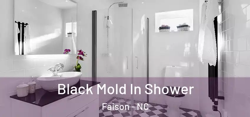 Black Mold In Shower Faison - NC