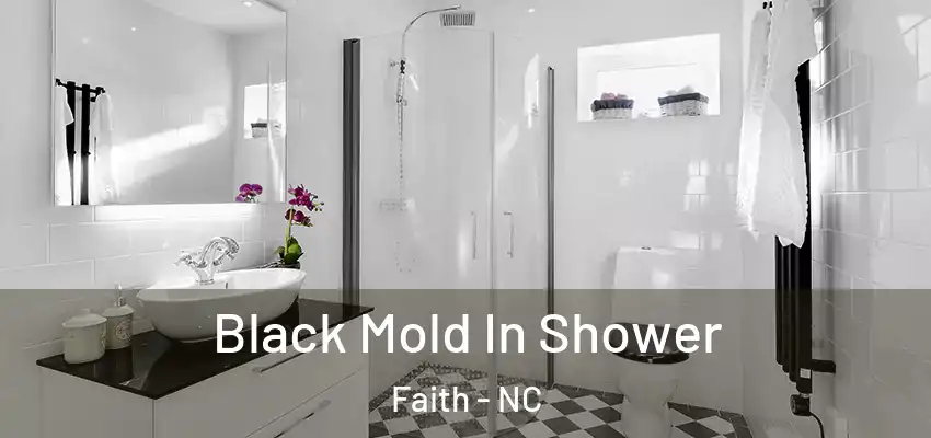 Black Mold In Shower Faith - NC