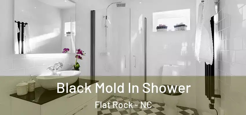 Black Mold In Shower Flat Rock - NC