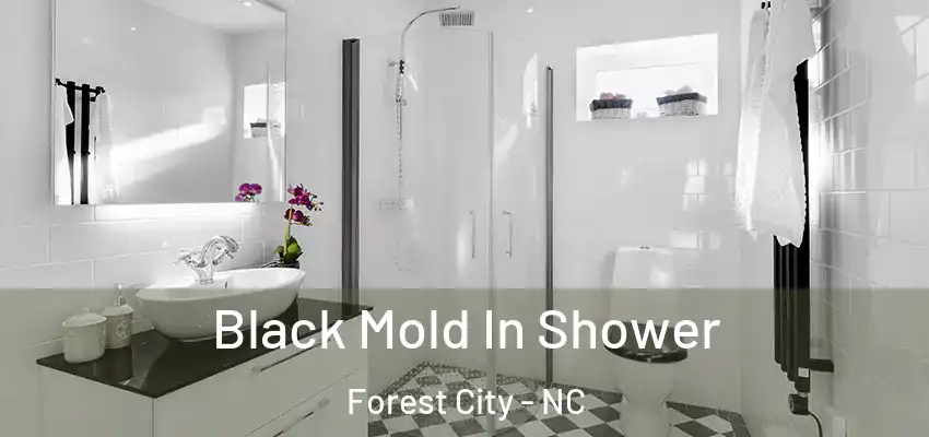 Black Mold In Shower Forest City - NC