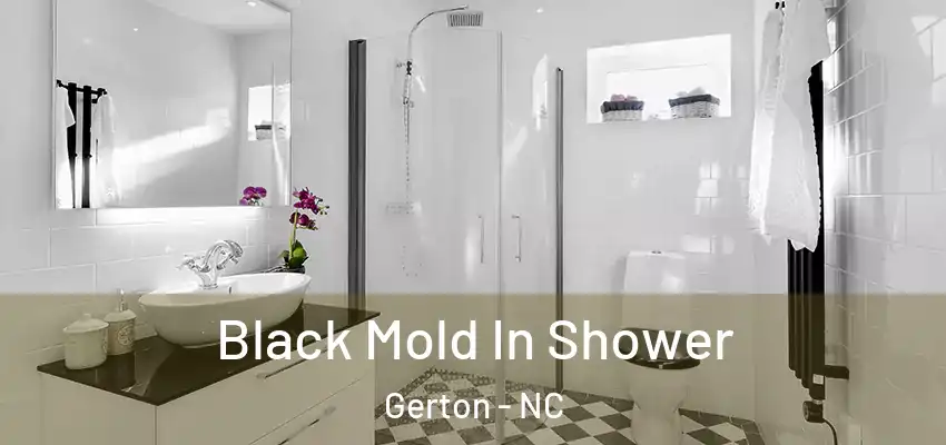 Black Mold In Shower Gerton - NC
