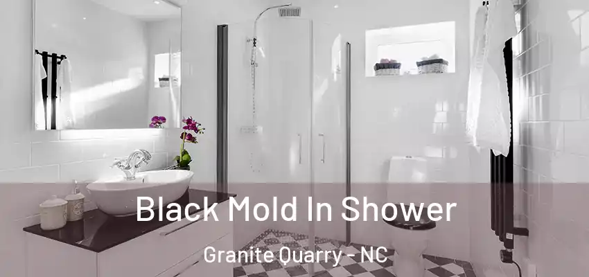 Black Mold In Shower Granite Quarry - NC