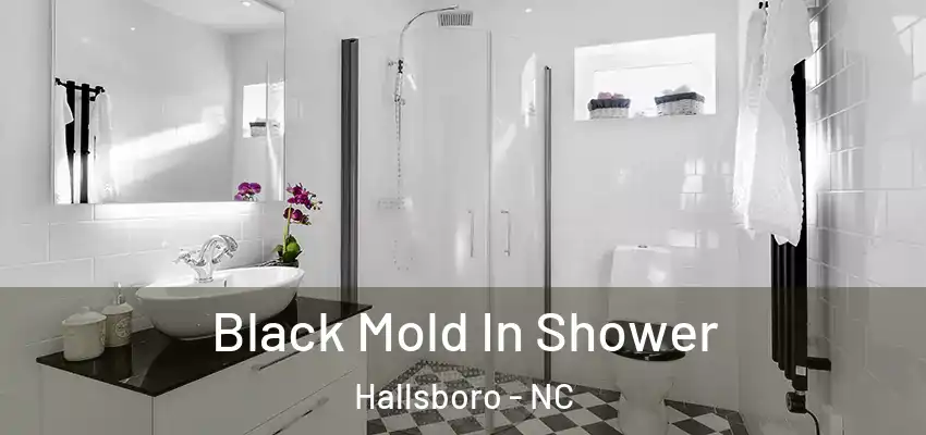 Black Mold In Shower Hallsboro - NC