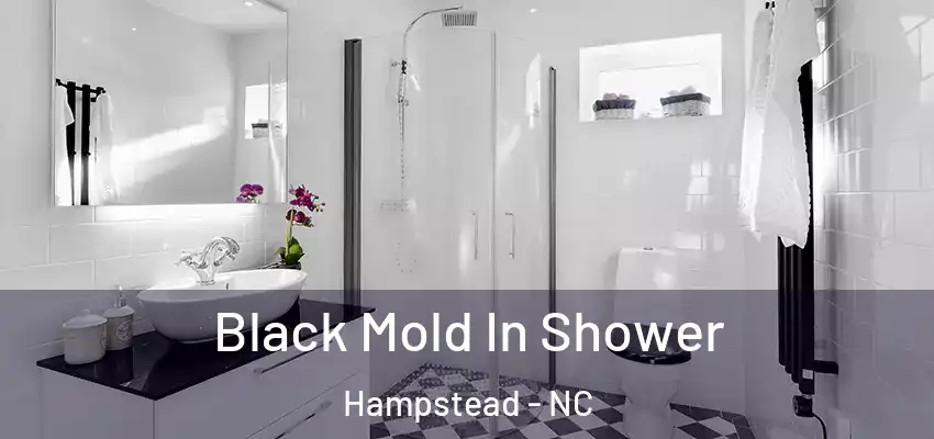 Black Mold In Shower Hampstead - NC