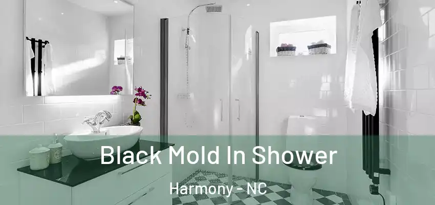Black Mold In Shower Harmony - NC