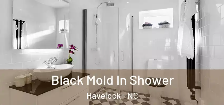  Black Mold In Shower Havelock - NC