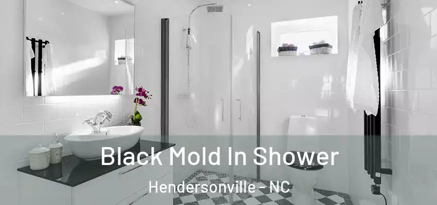Black Mold In Shower Hendersonville - NC