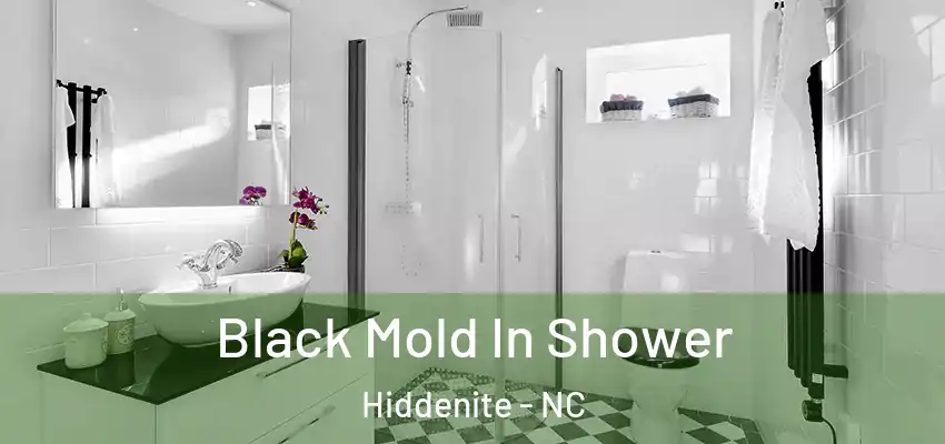  Black Mold In Shower Hiddenite - NC