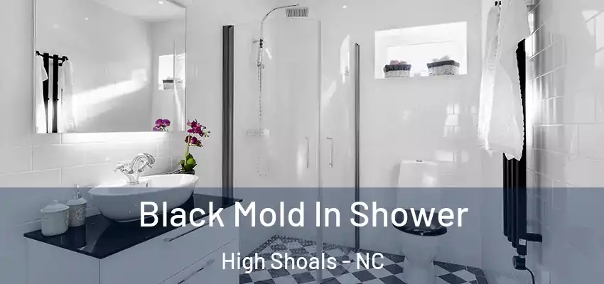 Black Mold In Shower High Shoals - NC