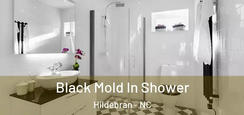 Black Mold In Shower Hildebran - NC