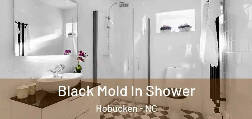 Black Mold In Shower Hobucken - NC