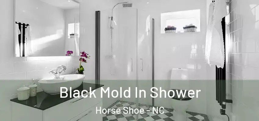 Black Mold In Shower Horse Shoe - NC