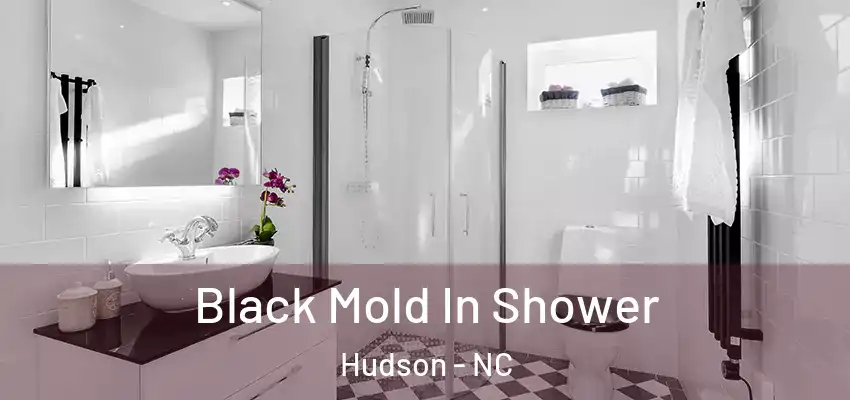 Black Mold In Shower Hudson - NC