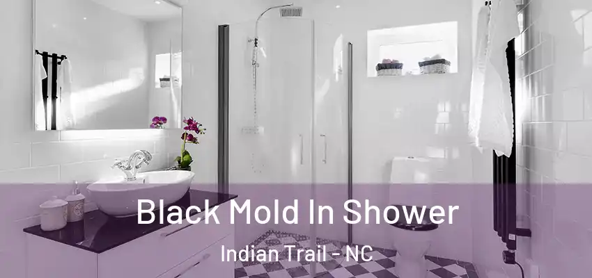 Black Mold In Shower Indian Trail - NC