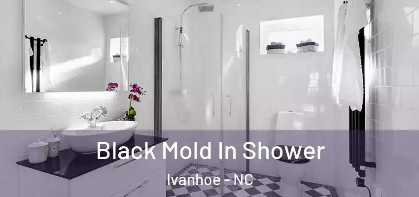  Black Mold In Shower Ivanhoe - NC