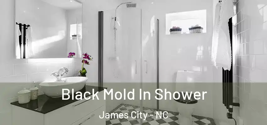 Black Mold In Shower James City - NC
