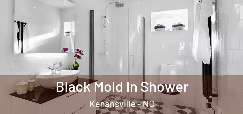  Black Mold In Shower Kenansville - NC