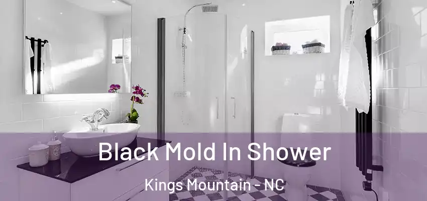  Black Mold In Shower Kings Mountain - NC