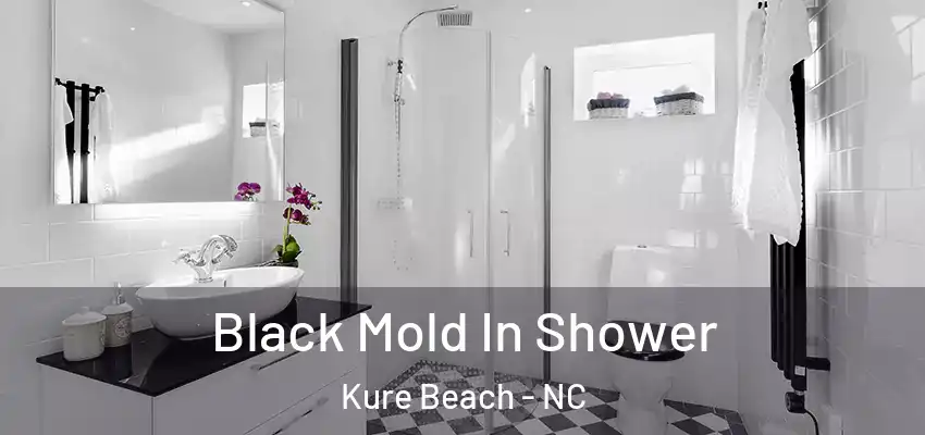  Black Mold In Shower Kure Beach - NC