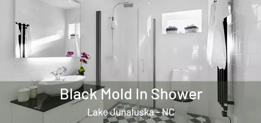 Black Mold In Shower Lake Junaluska - NC