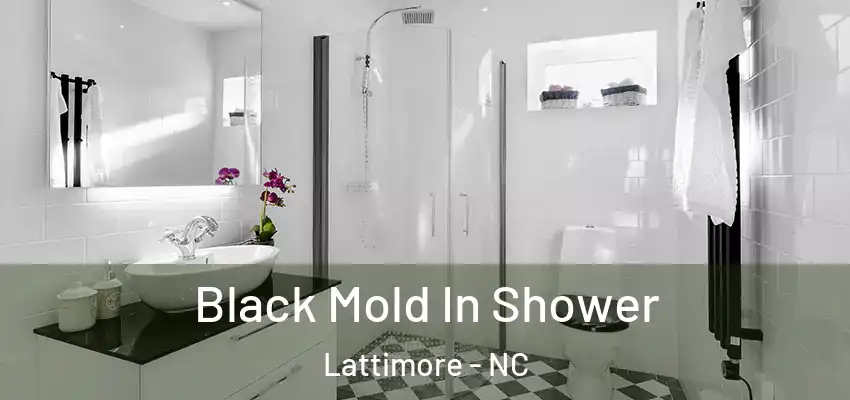  Black Mold In Shower Lattimore - NC