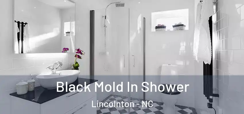 Black Mold In Shower Lincolnton - NC