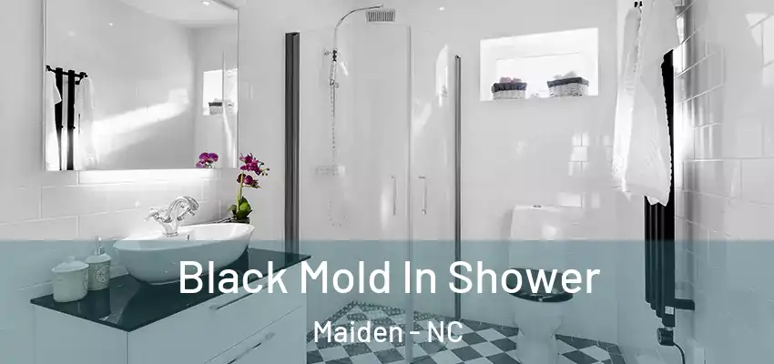  Black Mold In Shower Maiden - NC