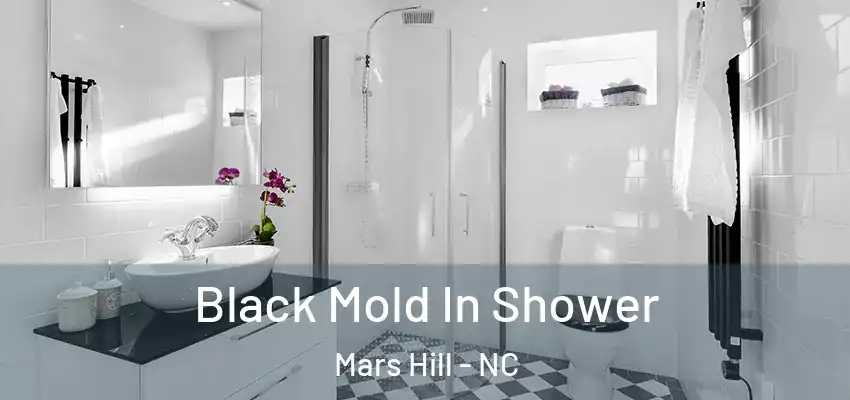 Black Mold In Shower Mars Hill - NC