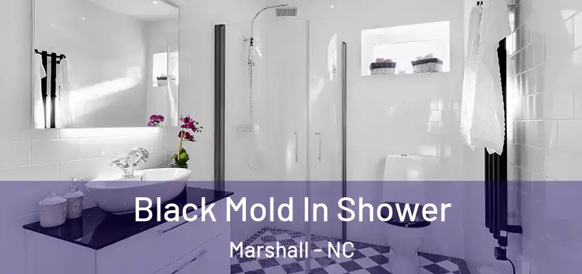  Black Mold In Shower Marshall - NC