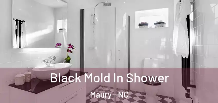 Black Mold In Shower Maury - NC
