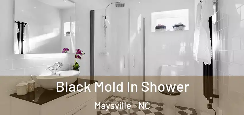  Black Mold In Shower Maysville - NC