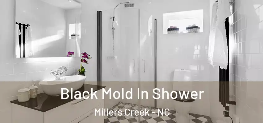 Black Mold In Shower Millers Creek - NC