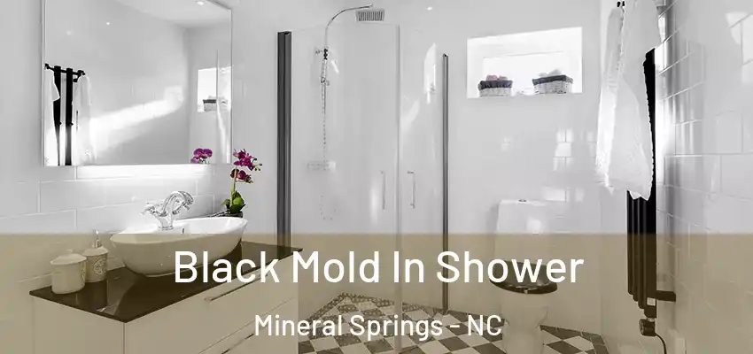  Black Mold In Shower Mineral Springs - NC