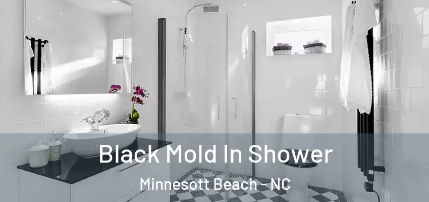 Black Mold In Shower Minnesott Beach - NC