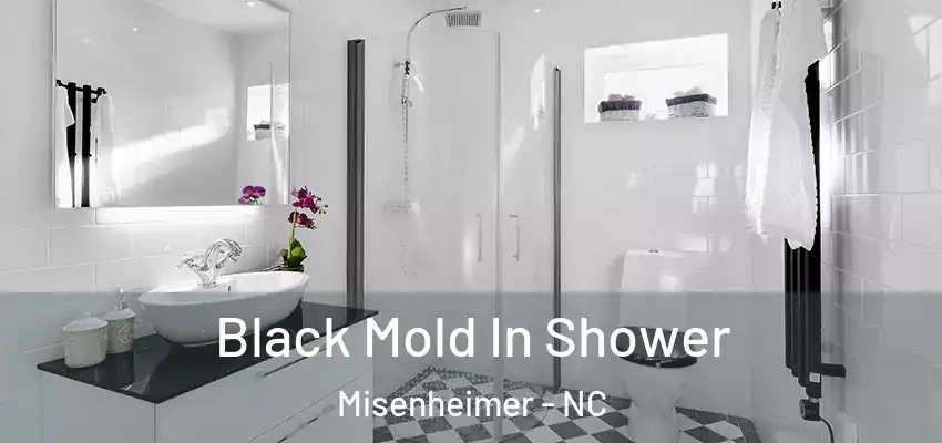  Black Mold In Shower Misenheimer - NC