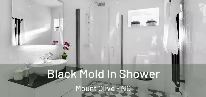  Black Mold In Shower Mount Olive - NC