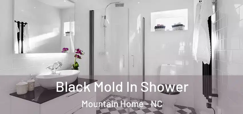  Black Mold In Shower Mountain Home - NC