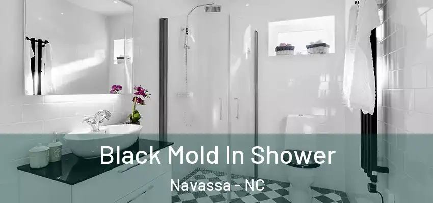  Black Mold In Shower Navassa - NC