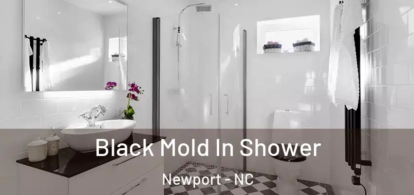 Black Mold In Shower Newport - NC