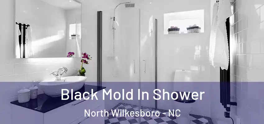  Black Mold In Shower North Wilkesboro - NC