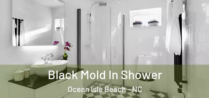 Black Mold In Shower Ocean Isle Beach - NC