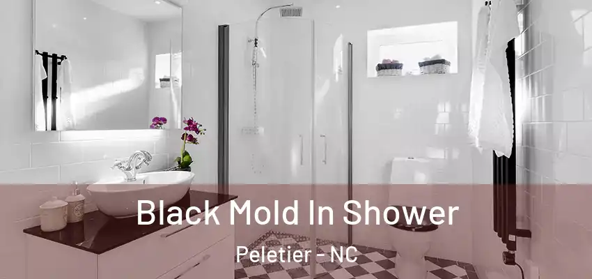 Black Mold In Shower Peletier - NC